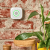 SHELLY Smart Sensor de Gás GPL WiFi com Alarme Sonoro e Luminoso SHELLY Smart Sensor de Gás GPL WiFi com Alarme Sonoro e Luminoso