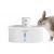 PETWANT Bebedor para animais de estimação W4-L PETWANT Bebedor para animais de estimação W4-L