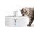 PETWANT Bebedor para animais de estimação W4-L PETWANT Bebedor para animais de estimação W4-L