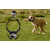 PULUZ  Action Cam Peitoral para Cão PULUZ  Action Cam Peitoral para Cão