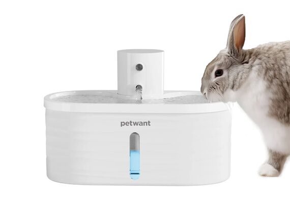 PETWANT Bebedor para animais de estimação W4-L PETWANT Bebedor para animais de estimação W4-L