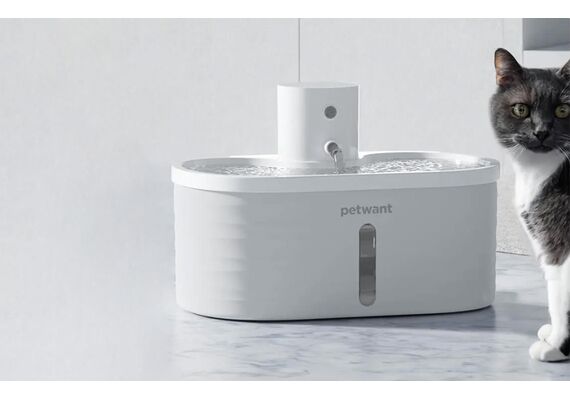 PETWANT Bebedor para animais de estimação W4-L PETWANT Bebedor para animais de estimação W4-L
