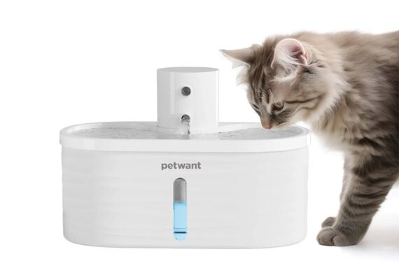 PETWANT Bebedor para animais de estimação W4-L PETWANT Bebedor para animais de estimação W4-L